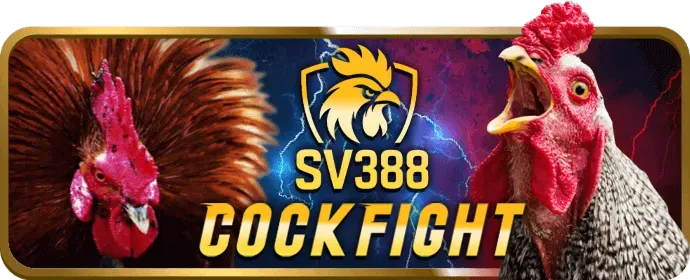 Chương Trình Hoàn Trả mebet